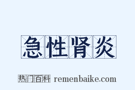 急性肾炎是什么意思的图片